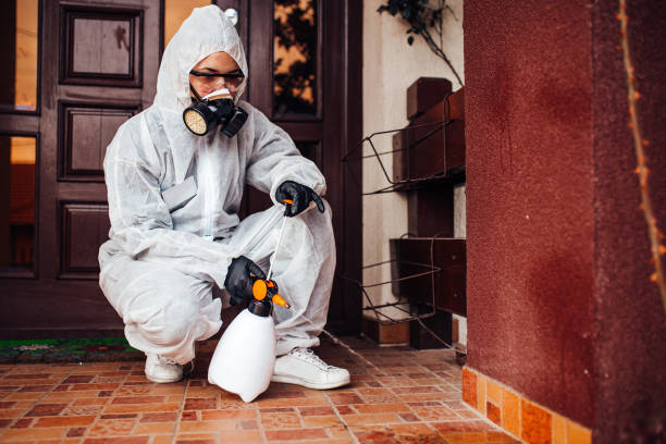 Reliable Cockroach Control contractor in Cascade-Chipita Park, CO by Nex Pest Control